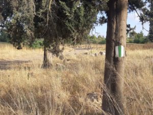 דינה דגן - תמונת סימון שבילים